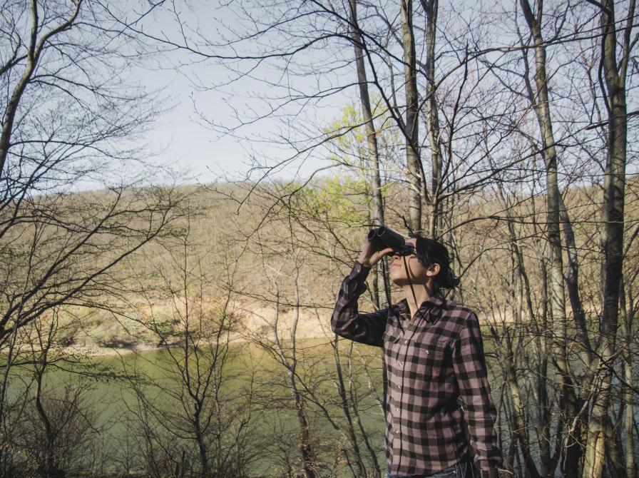 Person, der kigger i en kikkert i et skovområde.